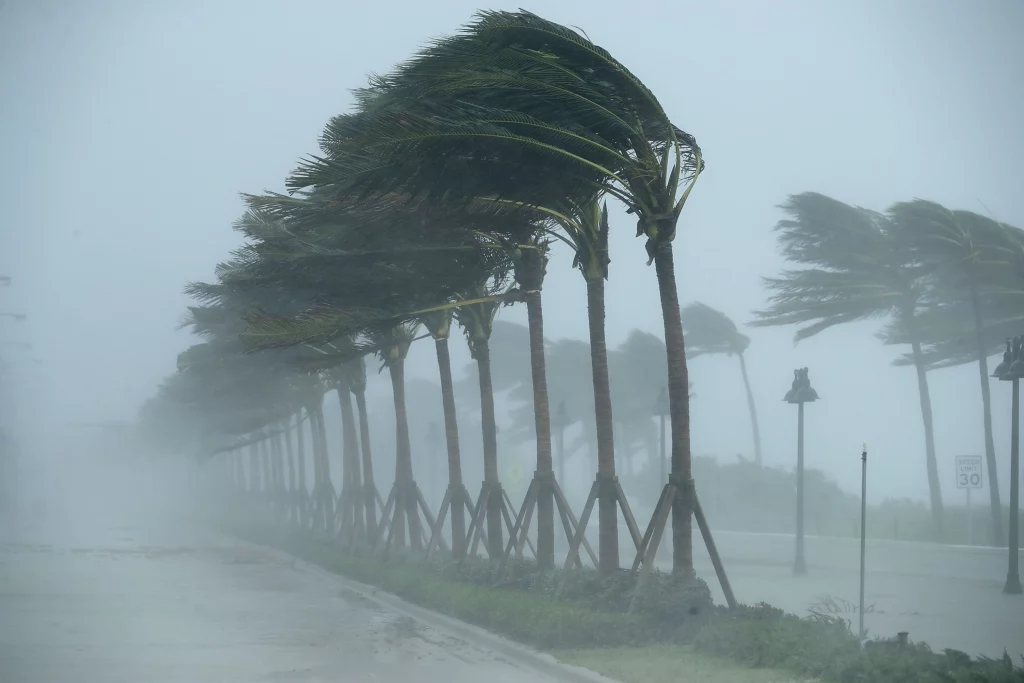 - american hurricane shutters strong wind during a hurricane