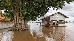 Floodwaters transform landscape, tree and home submerged - american hurricane shutters Ancient tree and house submerged in floodwaters.